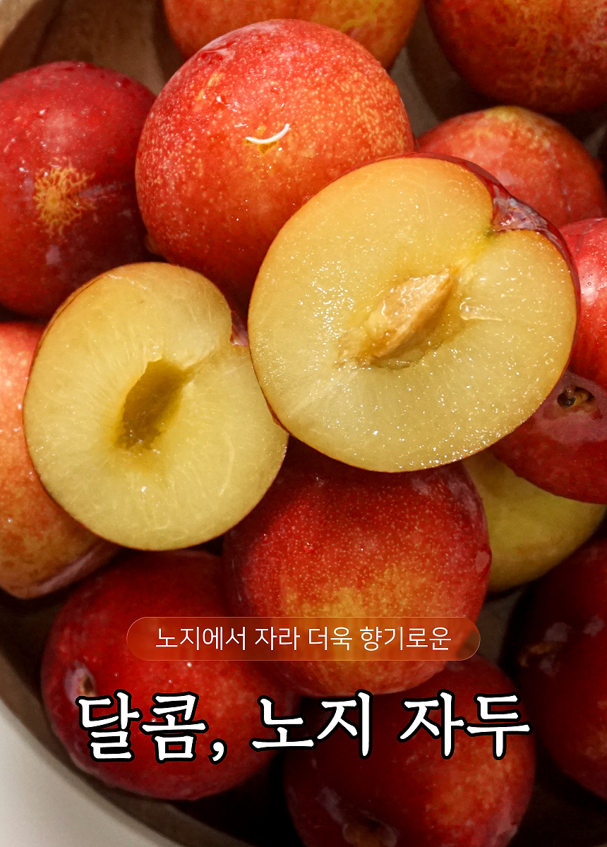 상세 1