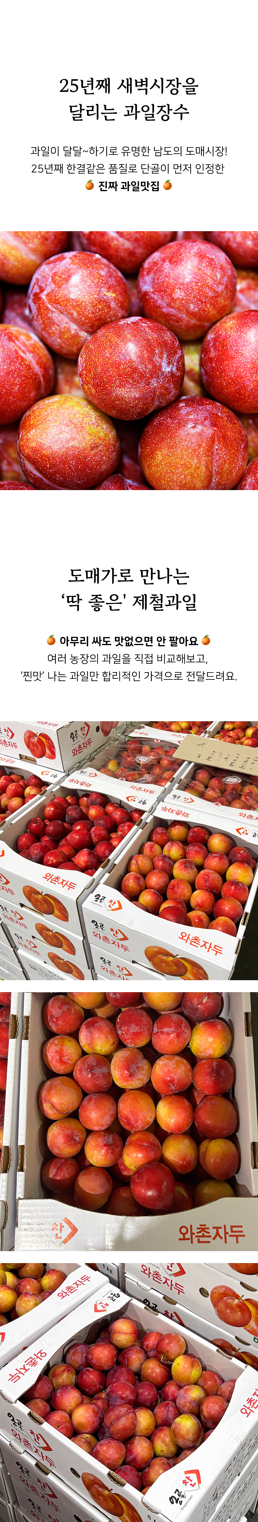 상세 2