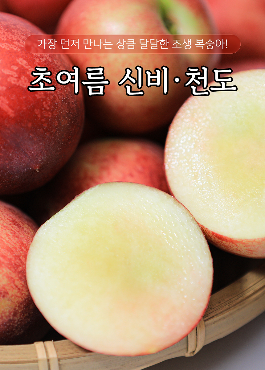 상세 1