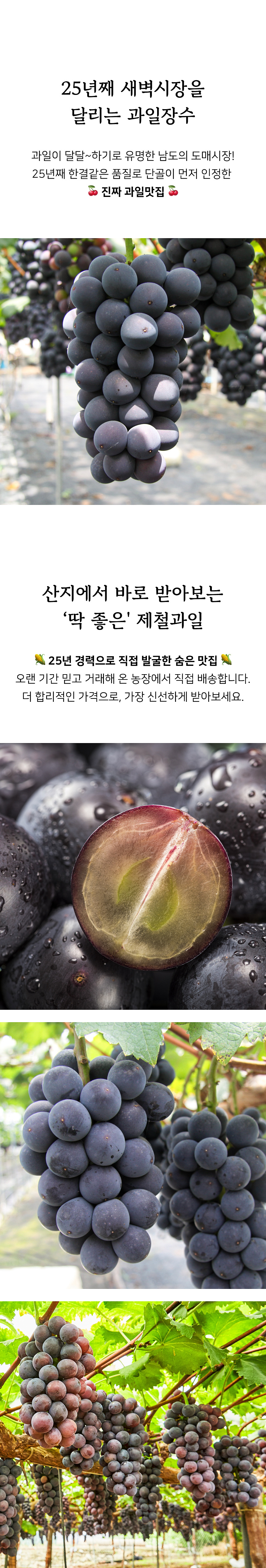 상세 2
