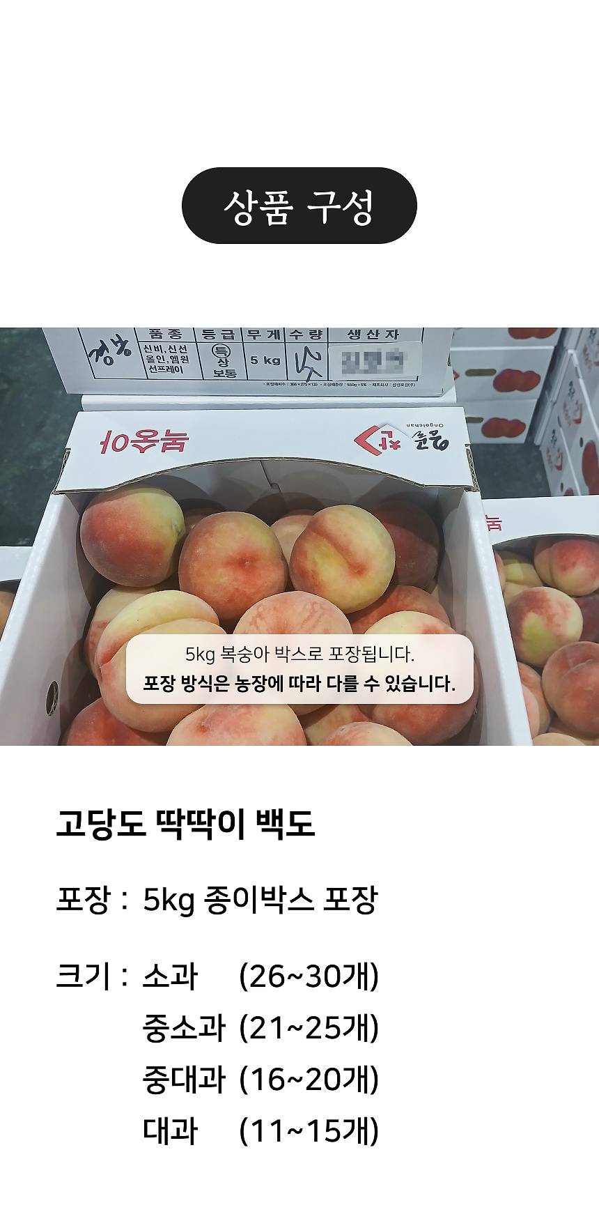 상세 4