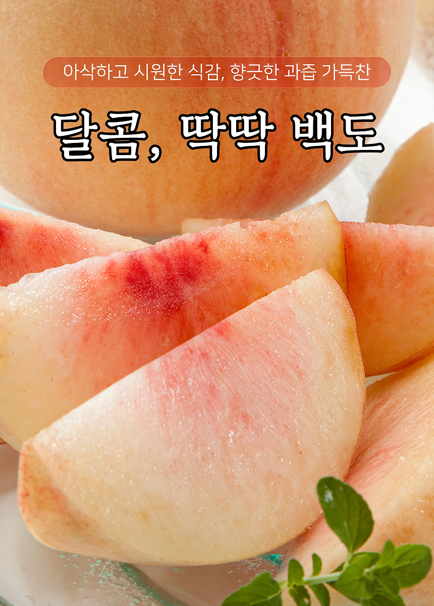 상세 1