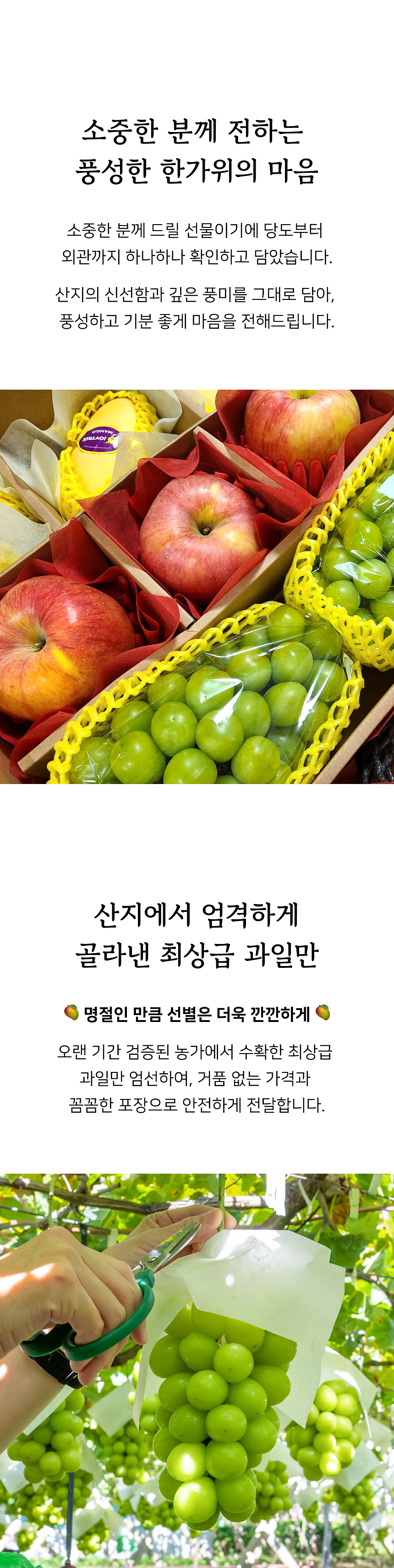 상세 2