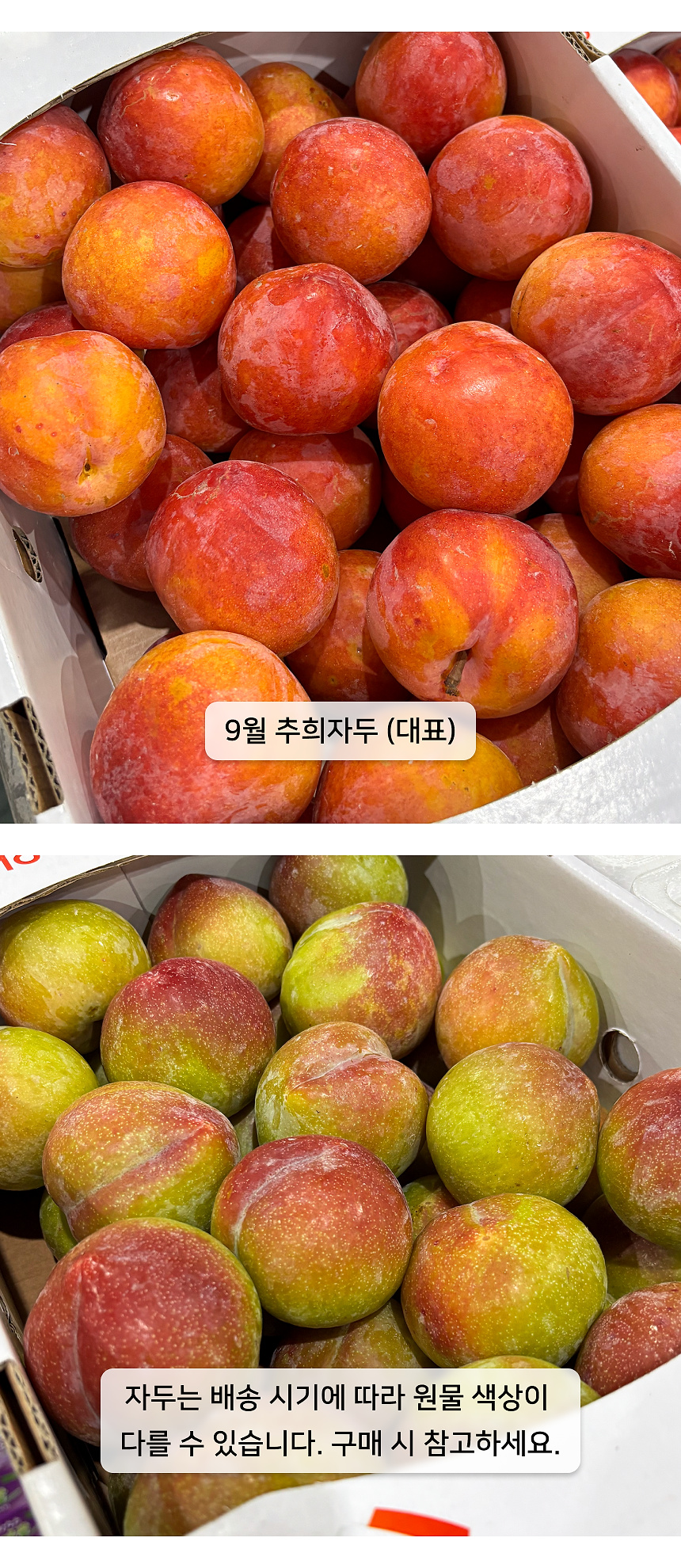 상세 3