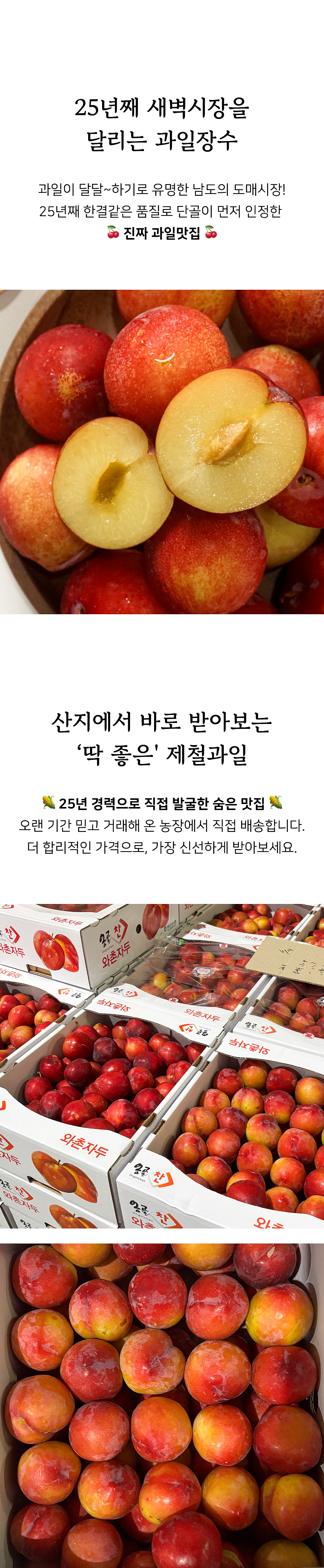 상세 2