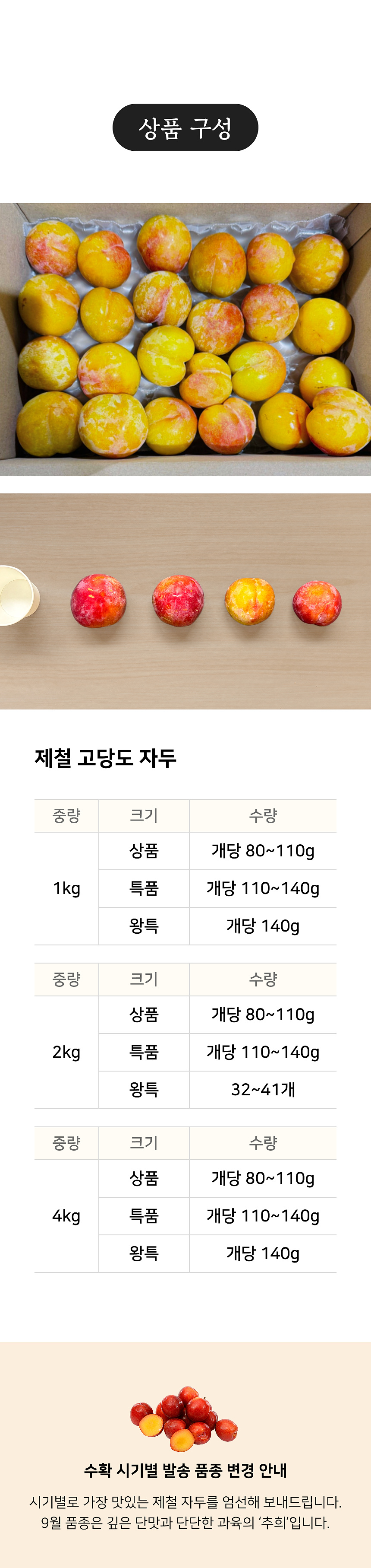 상세 4
