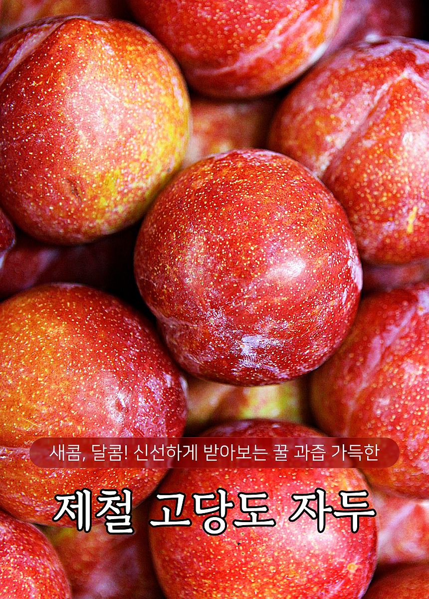 상세 1