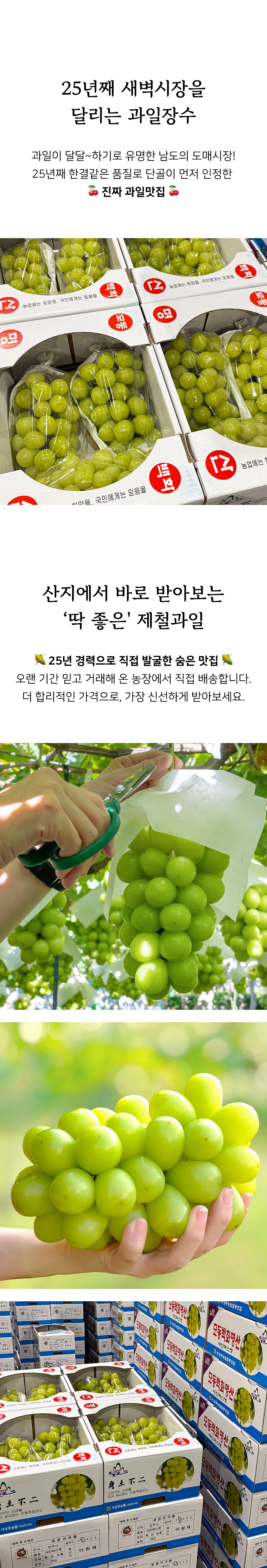 상세 2