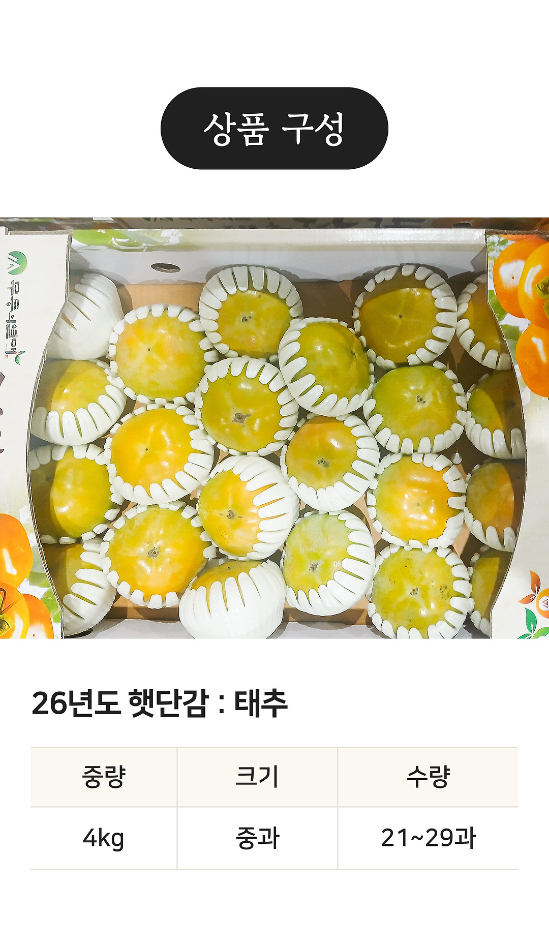 상세 4