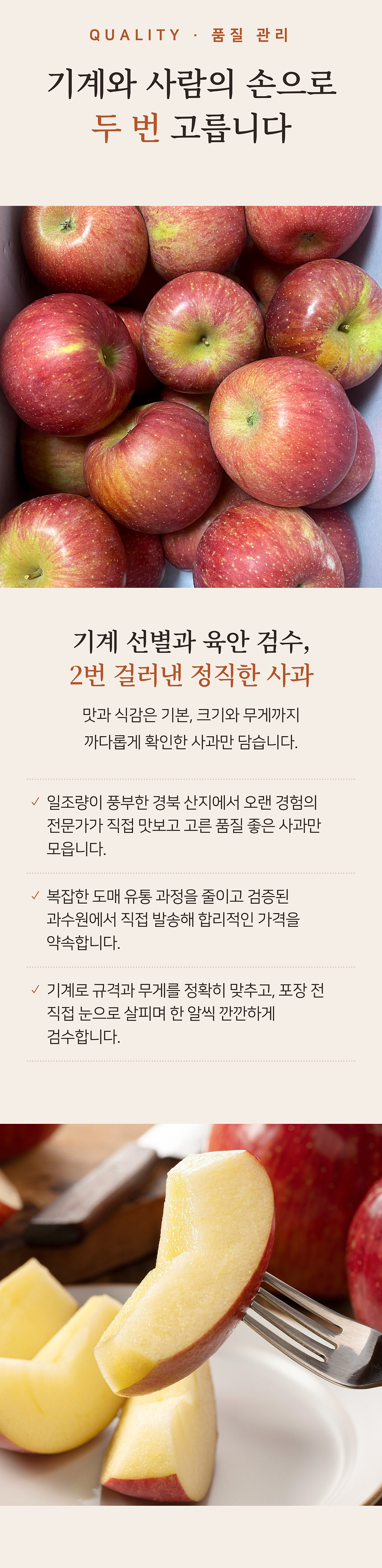 상세 4