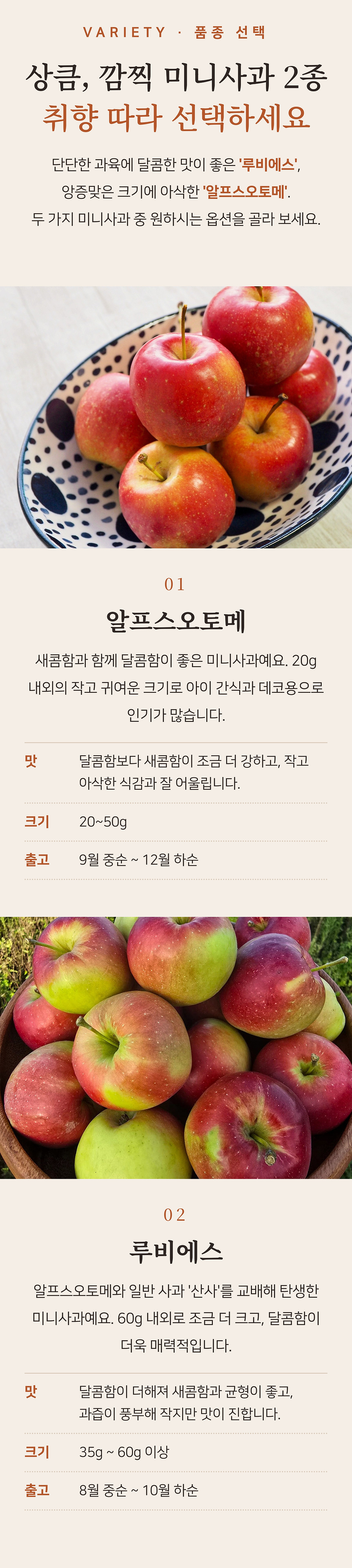 상세 4