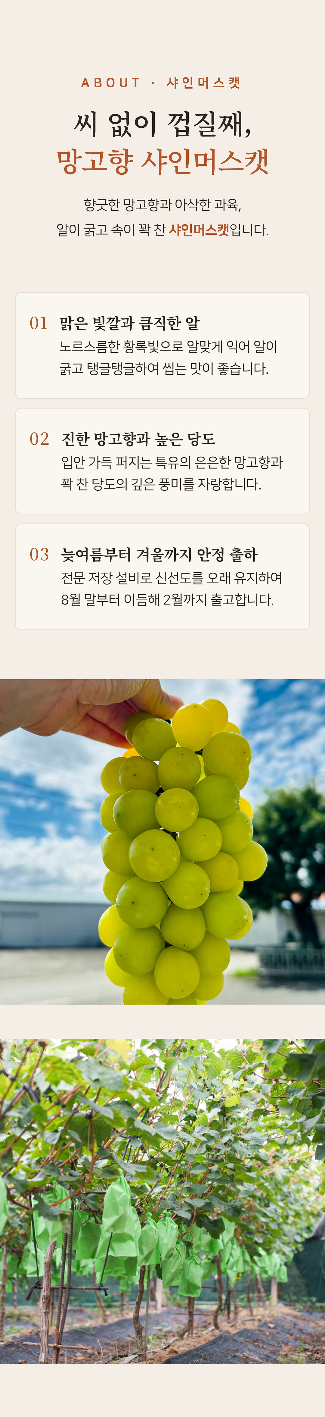 상세 3